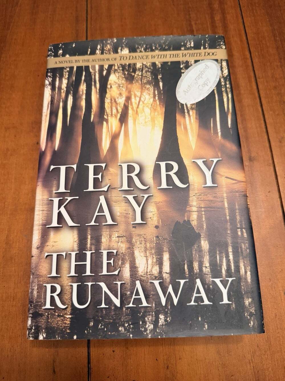 THE RUNAWAY Terry Kay SIGNED First Edition 1st Print 1997 Hardcover Dust Jacket